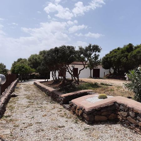 Casa Olivastra Villa ดอร์กาลี ภายนอก รูปภาพ